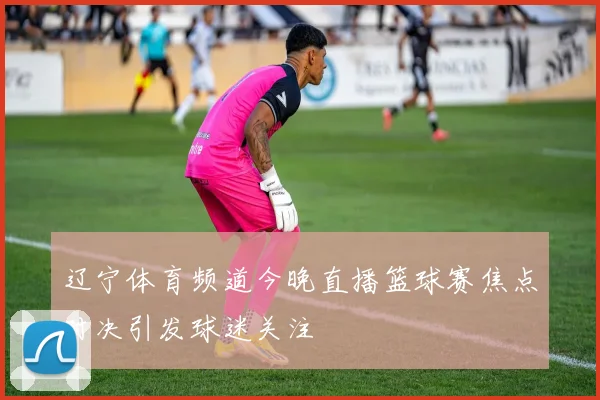 辽宁体育频道今晚直播篮球赛焦点对决引发球迷关注