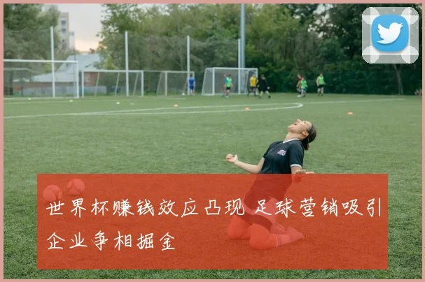 世界杯赚钱效应凸现 足球营销吸引企业争相掘金