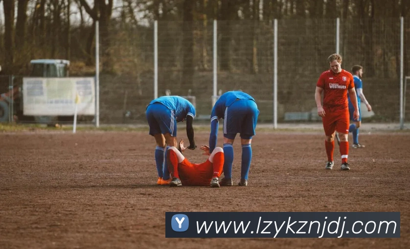 压球首页平台生态图
